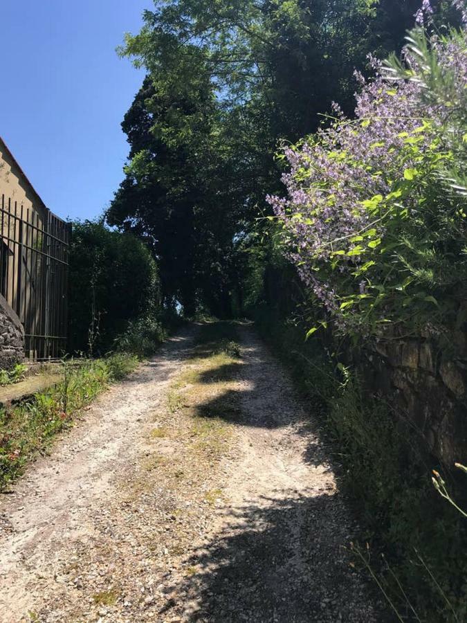 巴贝里诺·迪·穆杰罗Antica Dimora Di Laura公寓 外观 照片