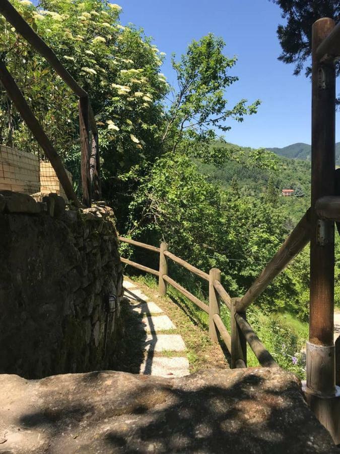 巴贝里诺·迪·穆杰罗Antica Dimora Di Laura公寓 外观 照片
